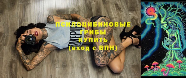 дурь Алексин