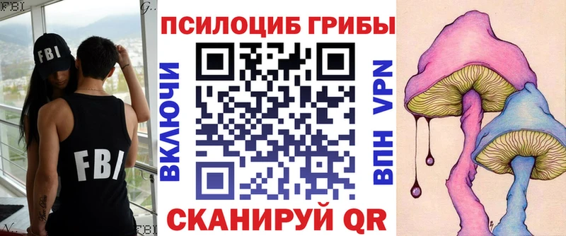 Галлюциногенные грибы прущие грибы наркотики omg ССЫЛКА Кохма